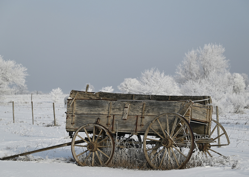Abandonded Wagon by Allesha MacDonald